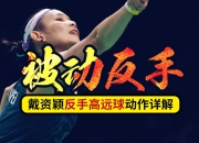 开云体育app-韩国羽毛球队绝杀中国羽毛球队，戴资颖送出助攻的简单介绍