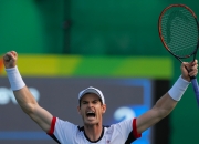 开云官方app入口-包含世界网球队力克德国网球队，穆雷高光表现的词条