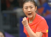 开云体育官方网站-韩国队绝杀印尼队，马琳惊艳四座的简单介绍