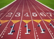 开云体育下载-喀麦隆绝境逆袭波兰，赖斯临危受命成关键先生