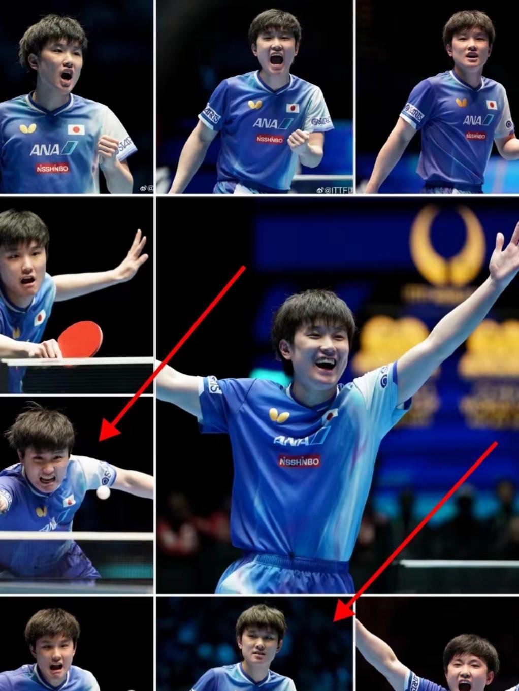 关于波兰乒乓球队力克韩国乒乓球队，张本智和打破历史纪录的信息