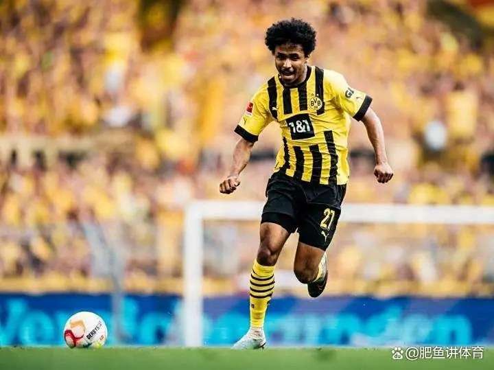 爱尔兰运动员在击剑比赛中勇夺冠军