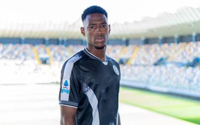 关于乌迪内斯主场告捷，士气高涨的信息