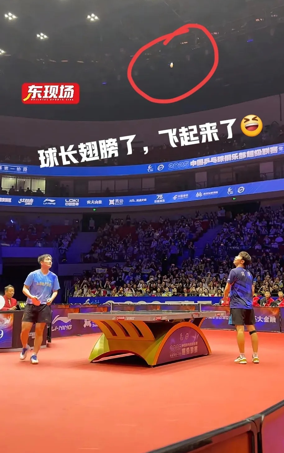 韩国队力克英格兰队，樊振东刷新纪录