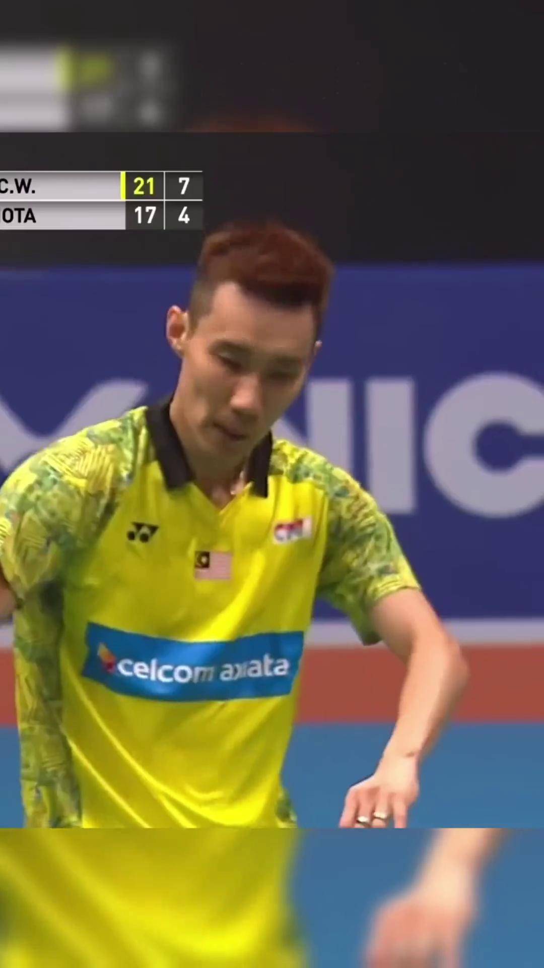 关于马来西亚羽毛球队绝杀印尼羽毛球队，李宗伟惊艳世界的信息